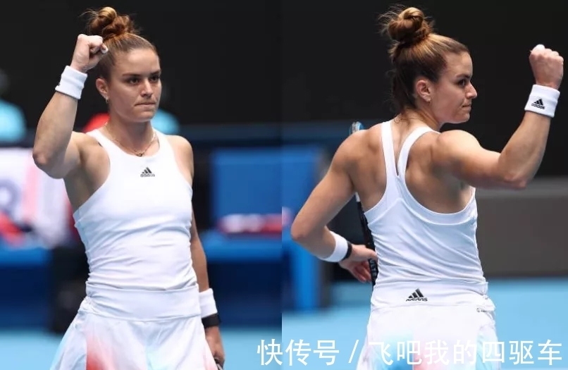 的篮球画卷 的篮球画卷